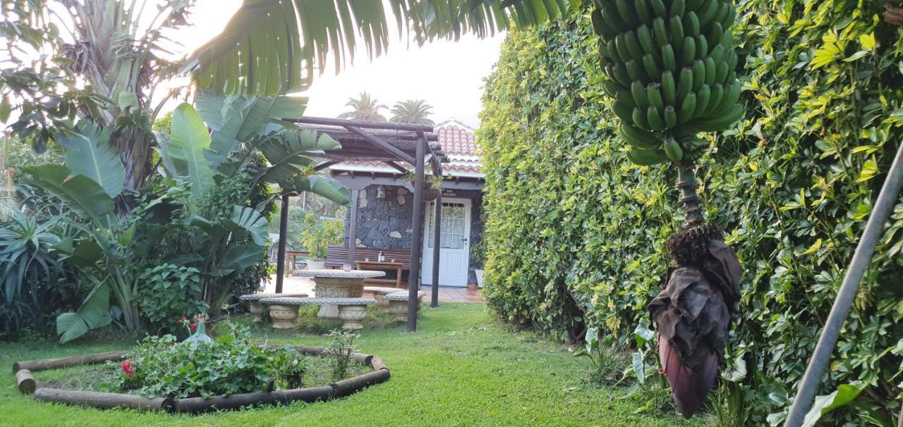 La Sabana Pensionat Buenavista de Abajo Exteriör bild