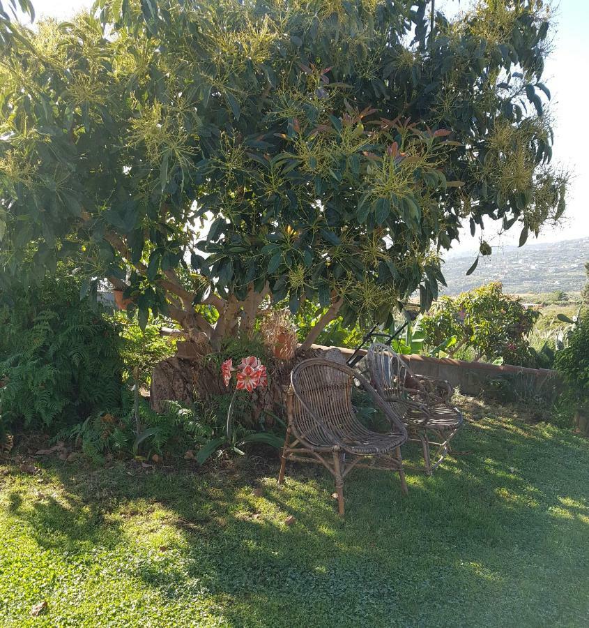 La Sabana Pensionat Buenavista de Abajo Exteriör bild